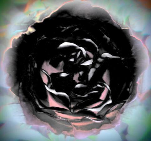 schwarze Rose, Ritualbild,